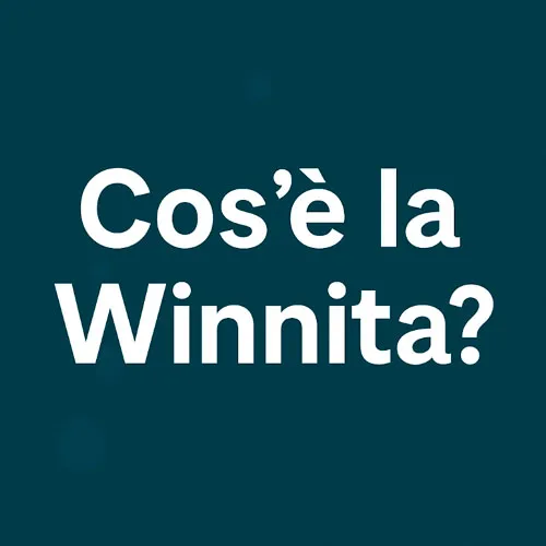 Cos’è la Winnita